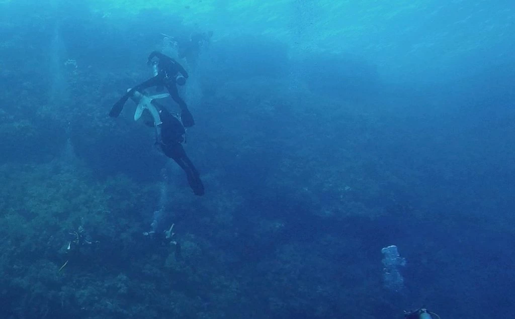 Δύτες έζησαν τον απόλυτο τρόμο- Βιντεοσκόπησαν καρχαρία να τρώει το πόδι μέλους της ομάδας τους (βίντεο)